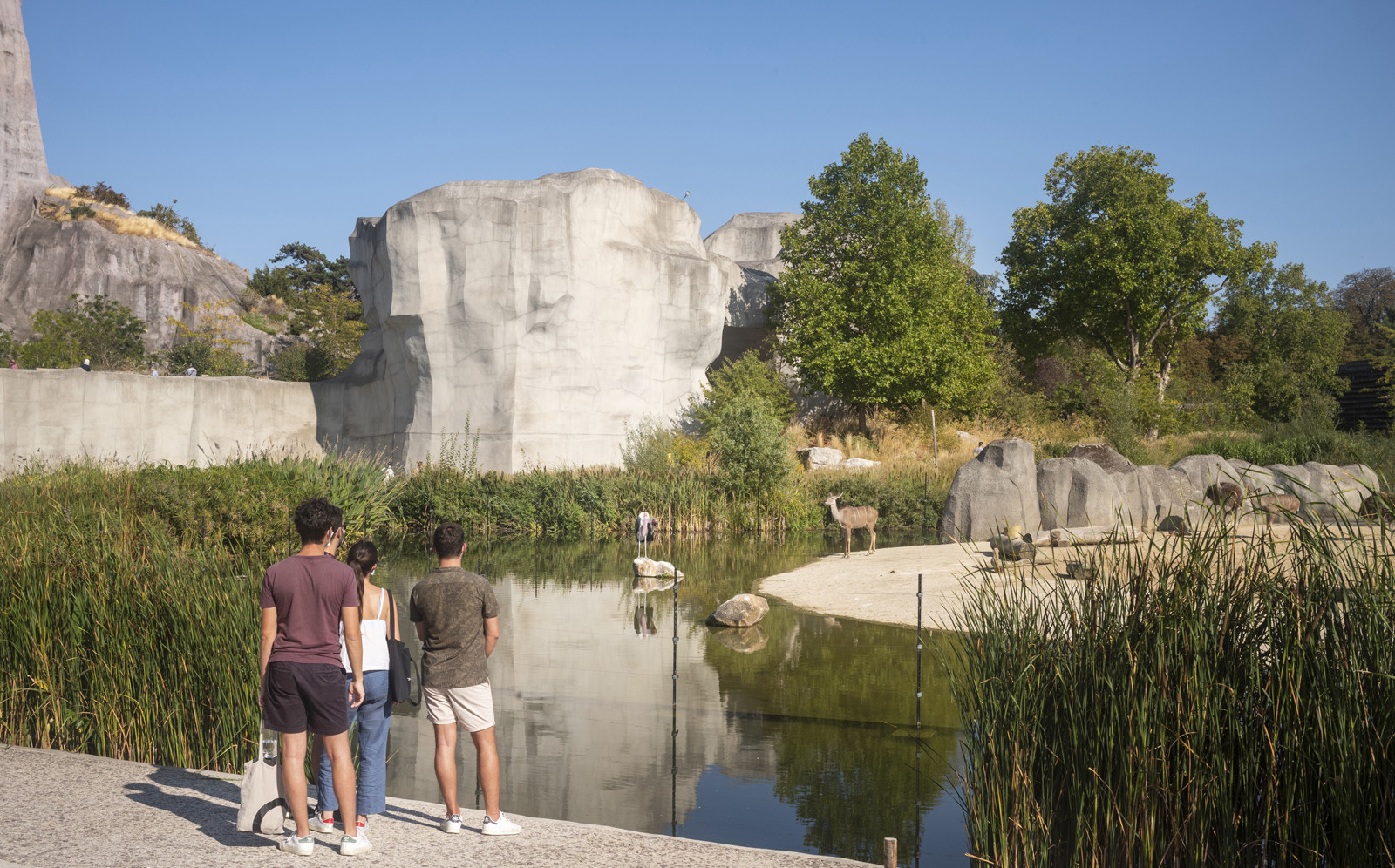 10-PARIS_Zoo ©Martin Argyroglo (32)-5fd74c14bfa6f.jpeg